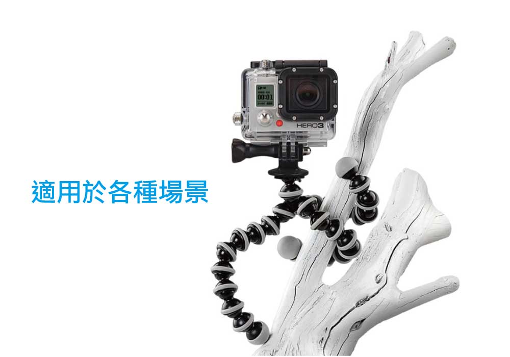八爪魚2