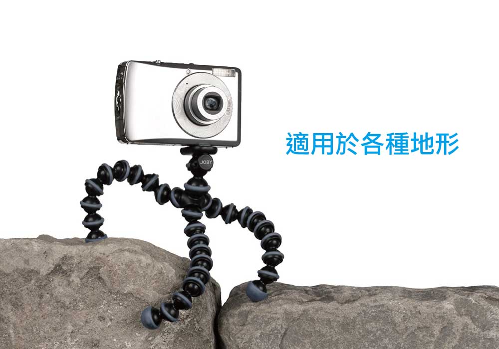 八爪魚3