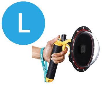 L