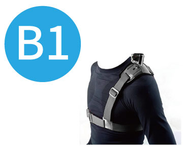 b1